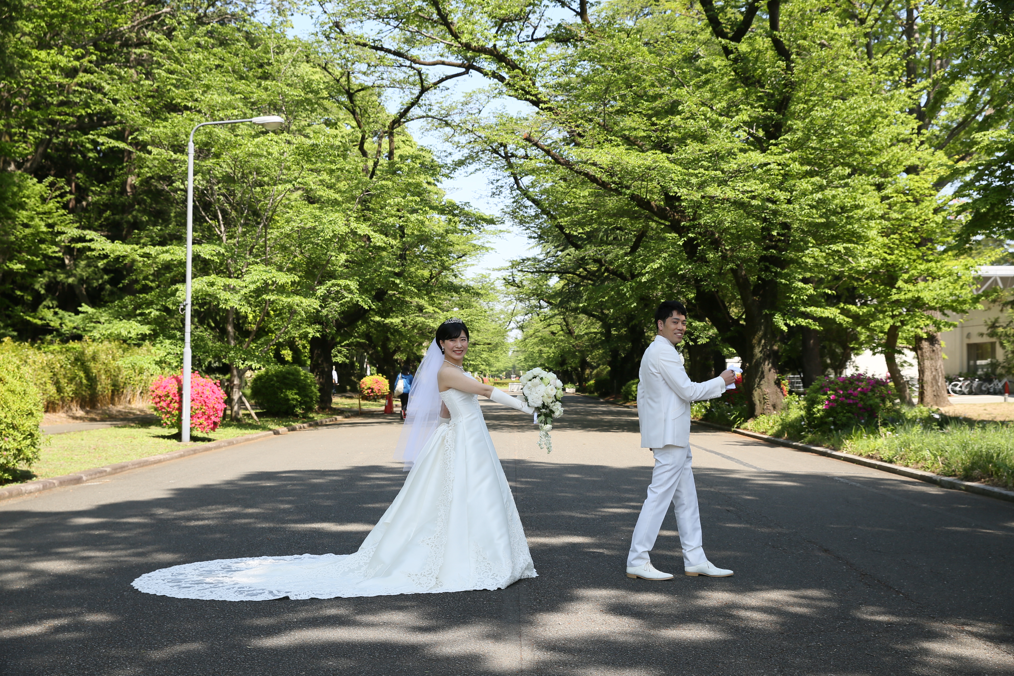 ICU国際基督教大学  銀杏並木 前撮り