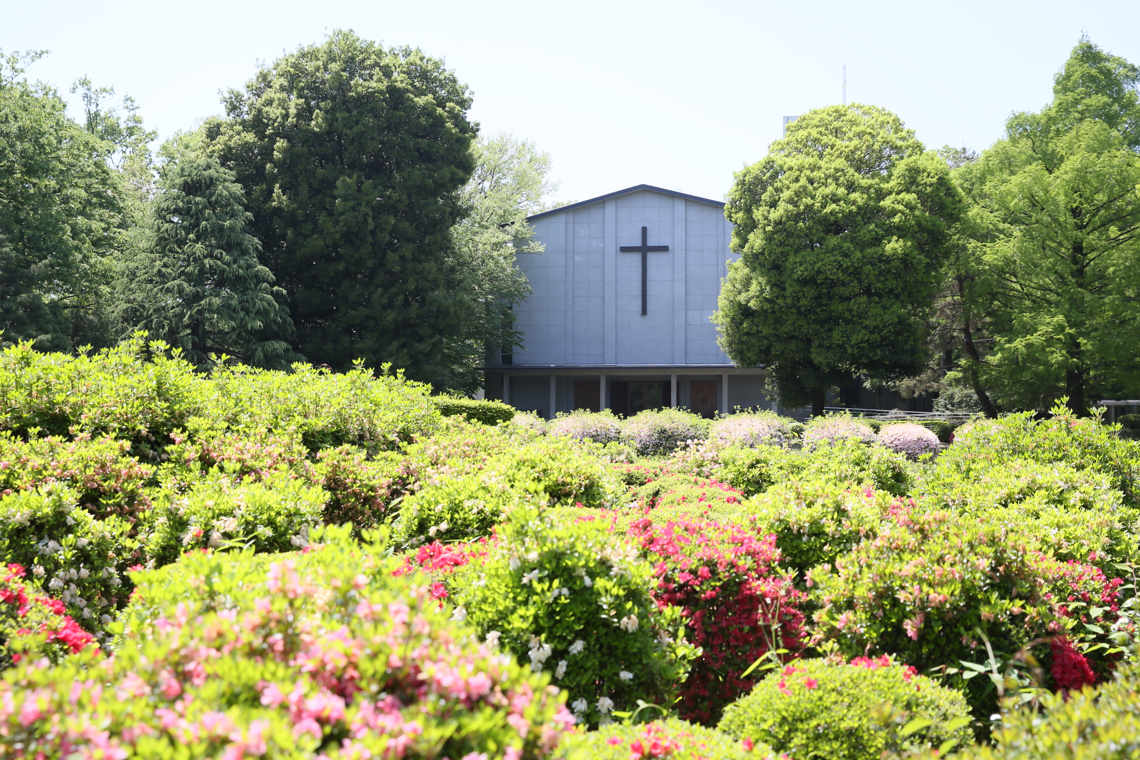 ICU国際基督教大学 礼拝堂 フォトウエディング